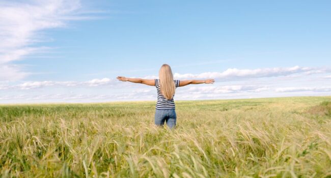 ndis therapy ndis therapy